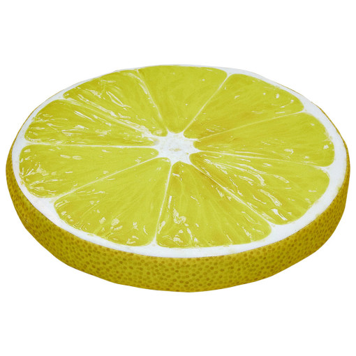 Citrus Fruit Seat Pads - Image 4