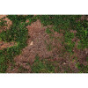 Moss Floor Mat