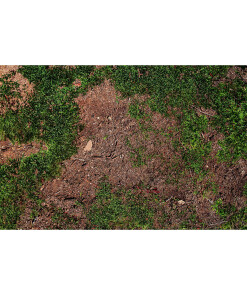 Moss Floor Mat