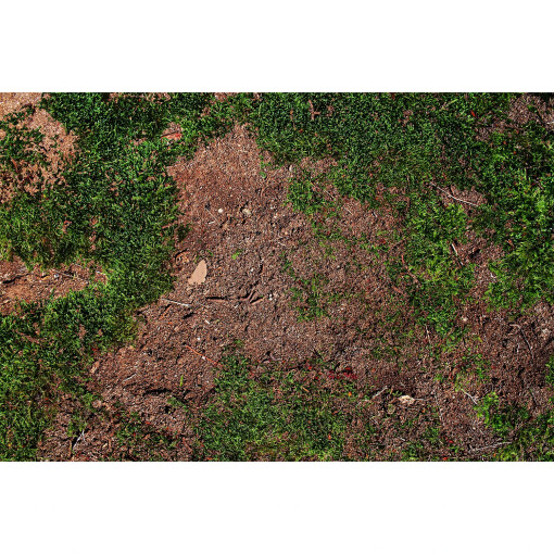 Moss Floor Mat